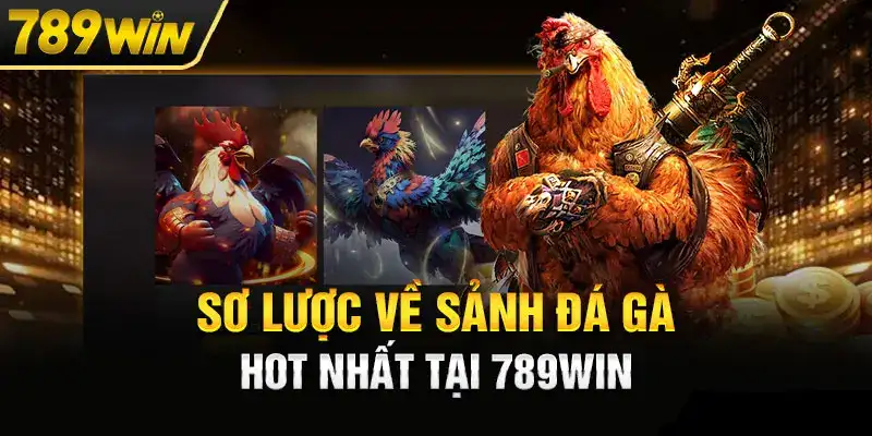 Hướng Dẫn Cược Đá Gà Trên 789WIN